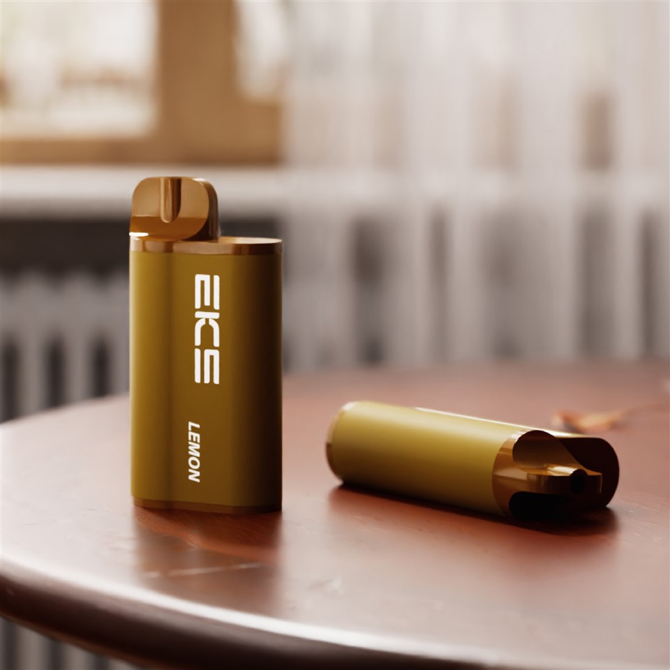 EICS 9000puffs engångs